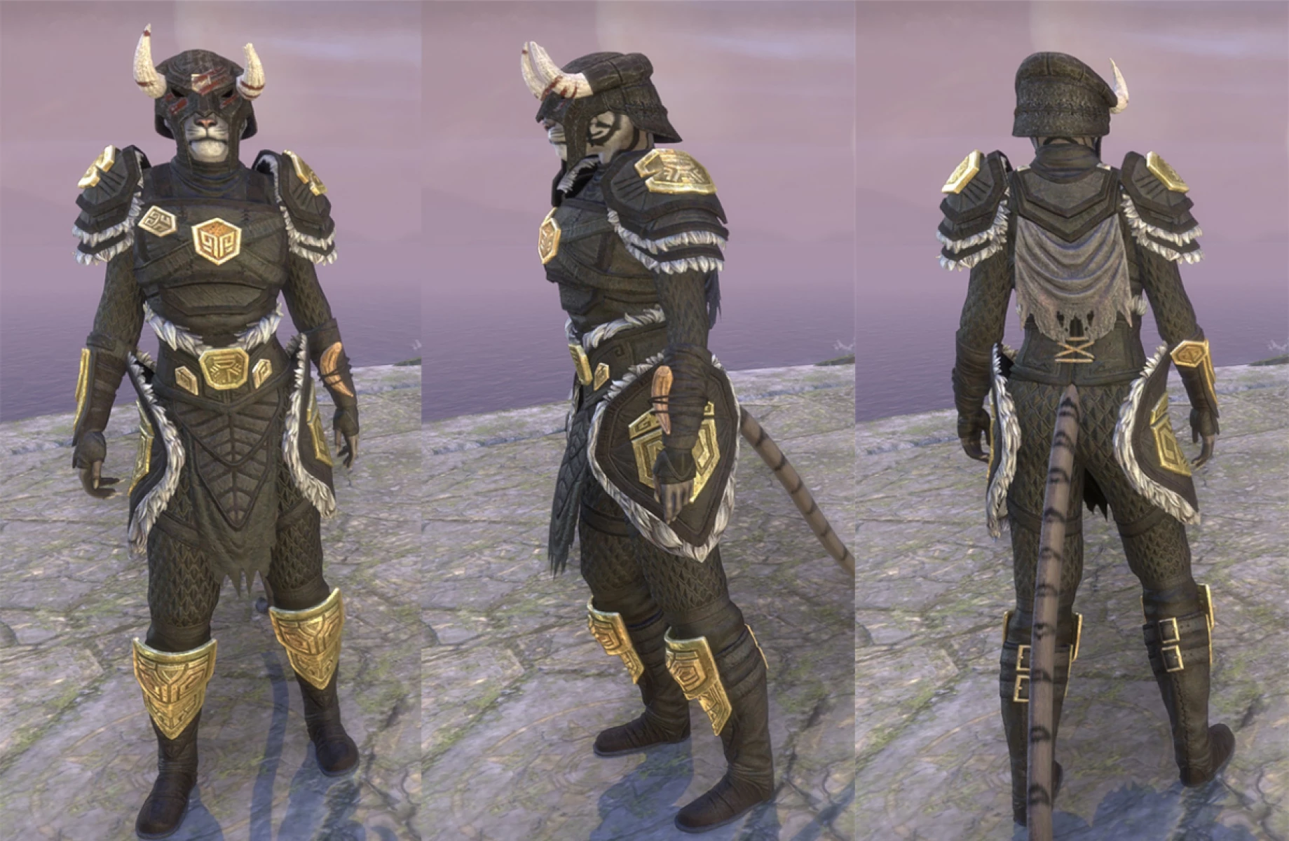 This costume pays a 10-year tribute to our legendary Nord hero of the Ebonheart Pact. Honor this nameless warrior by adopting their ferocious appearance, updated with touches of gold and ivory for the occasion.