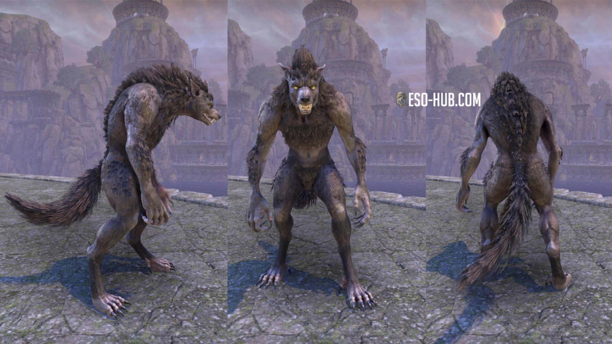 Full-body shot of the base, unmorphed Werewolf Transformation on a female character.