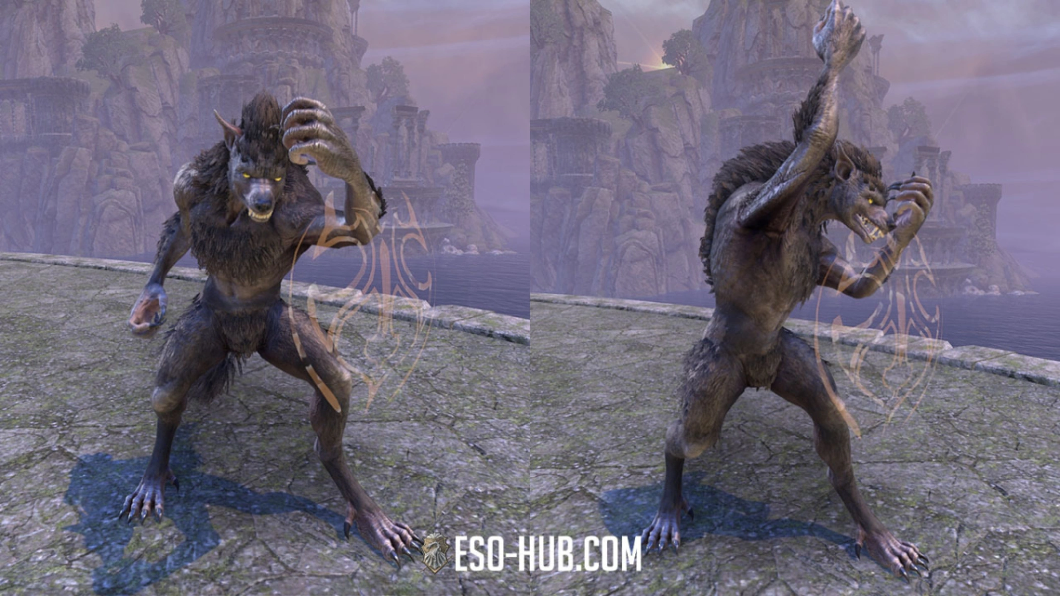 Block and bash/interrupt animations