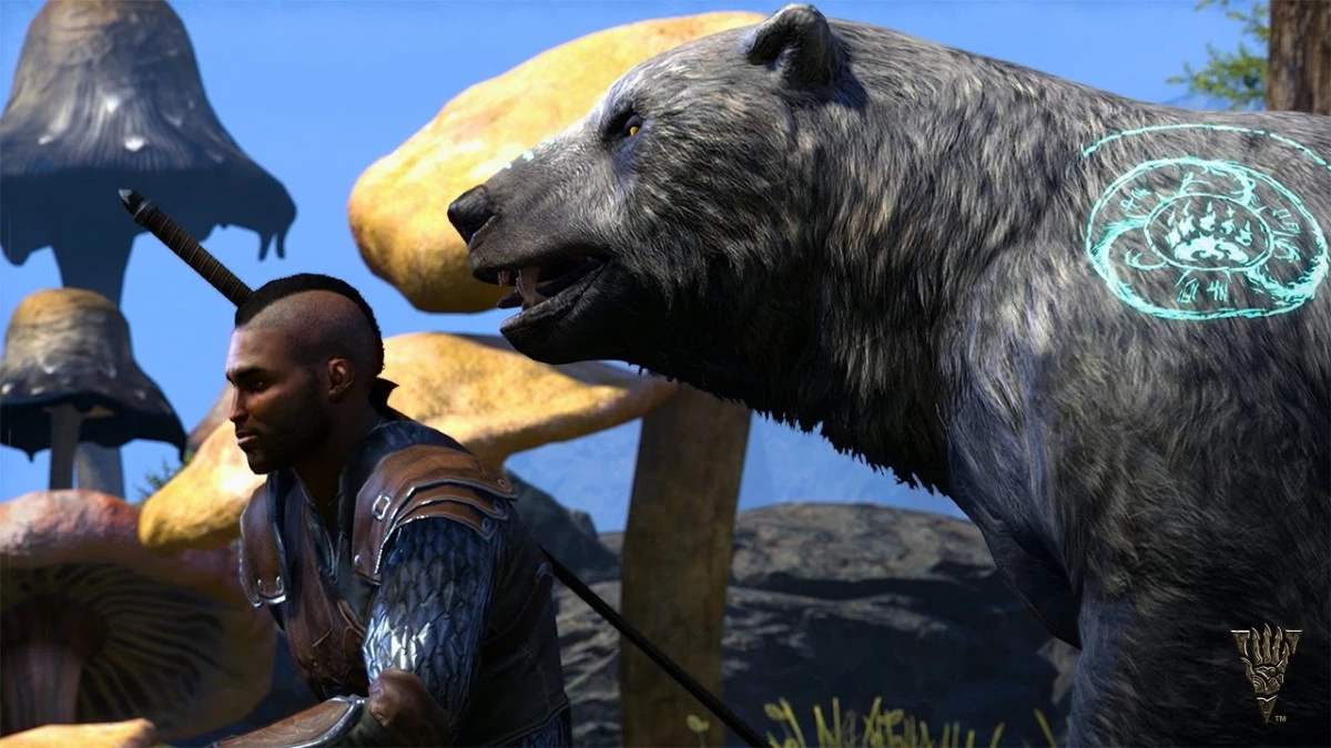 Ton ours te vole-t-il ton Ultimate ?