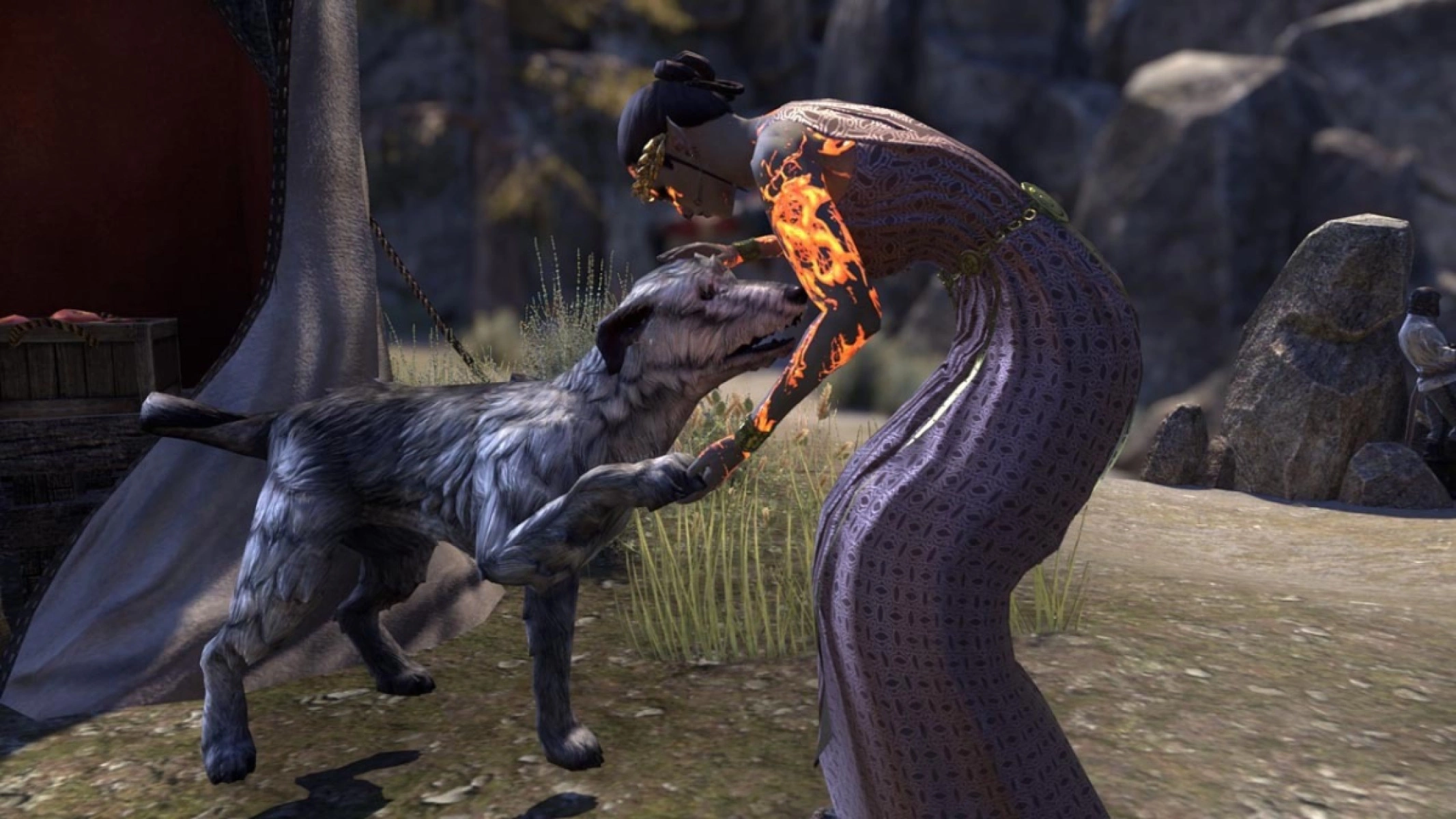 Don't forget to pet the doggos at Belkhart Festival Grounds <3