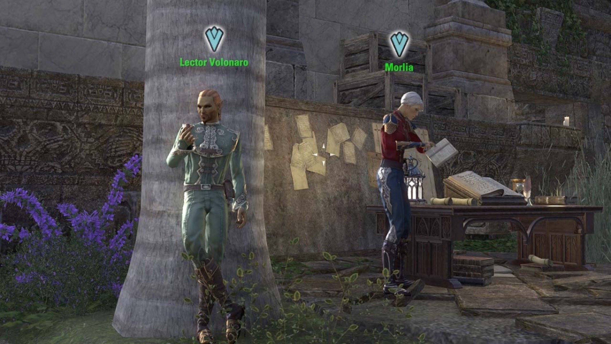 Lector Volonaro and Morlia, your daily quest givers in Sunport, Solstice.