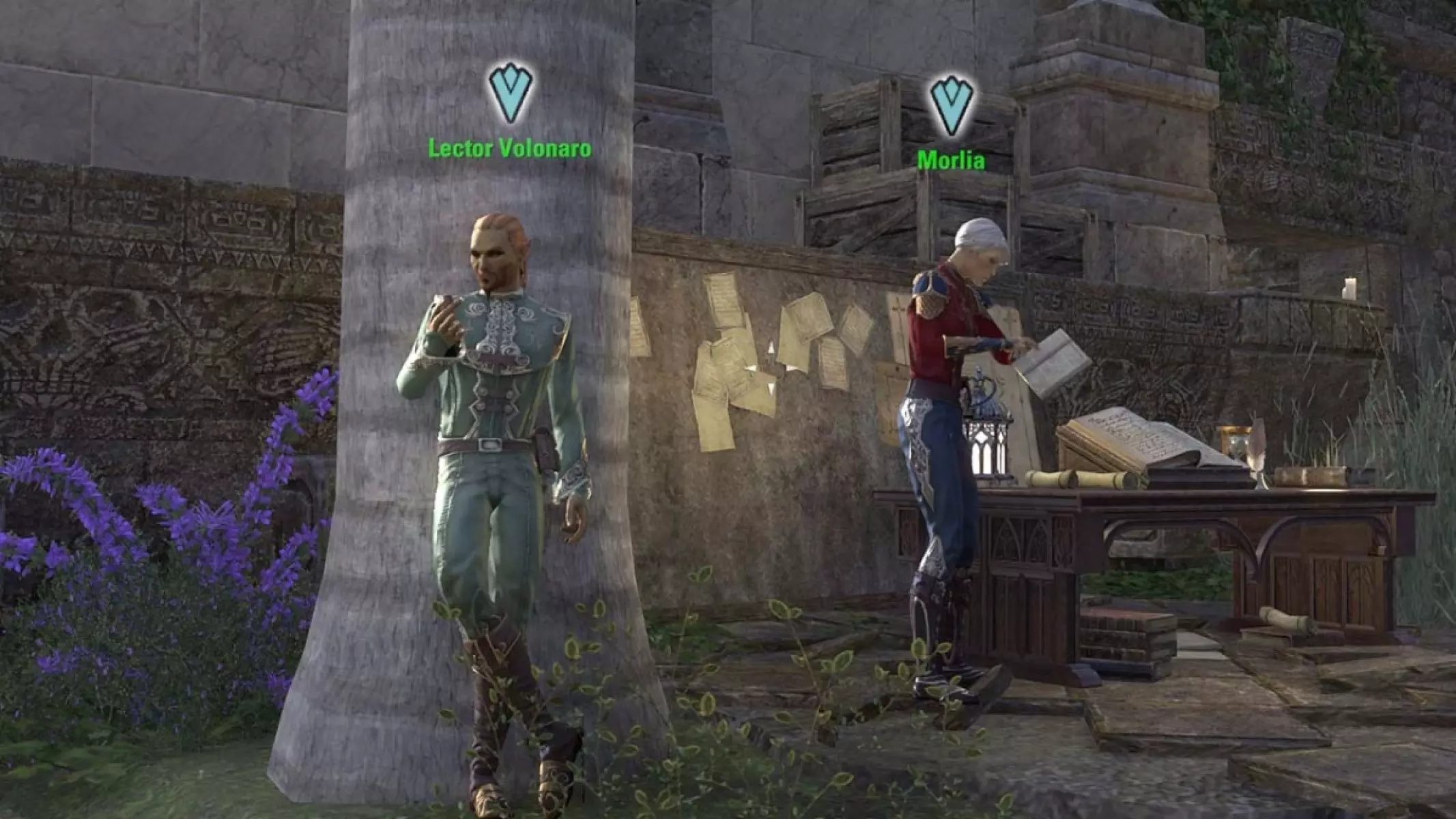 Lector Volonaro and Morlia, your daily quest givers in Sunport, Solstice.