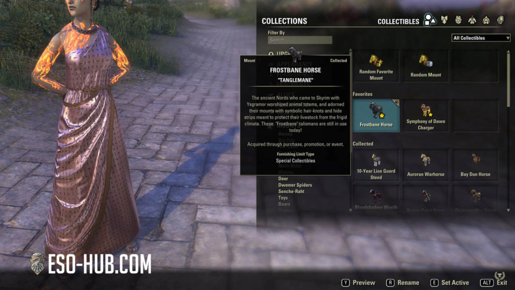 Choose your default mount in the collections menu