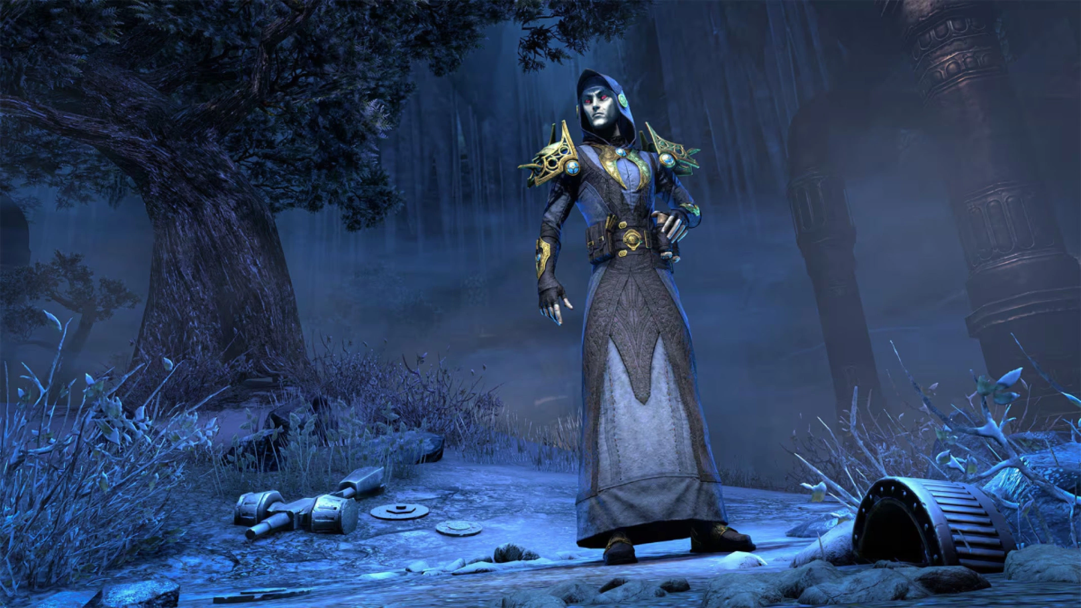 ESO Raynor’s Travelling Robes Costume is the bonus collectible reward for the Premium Tome + Bonuses tier.