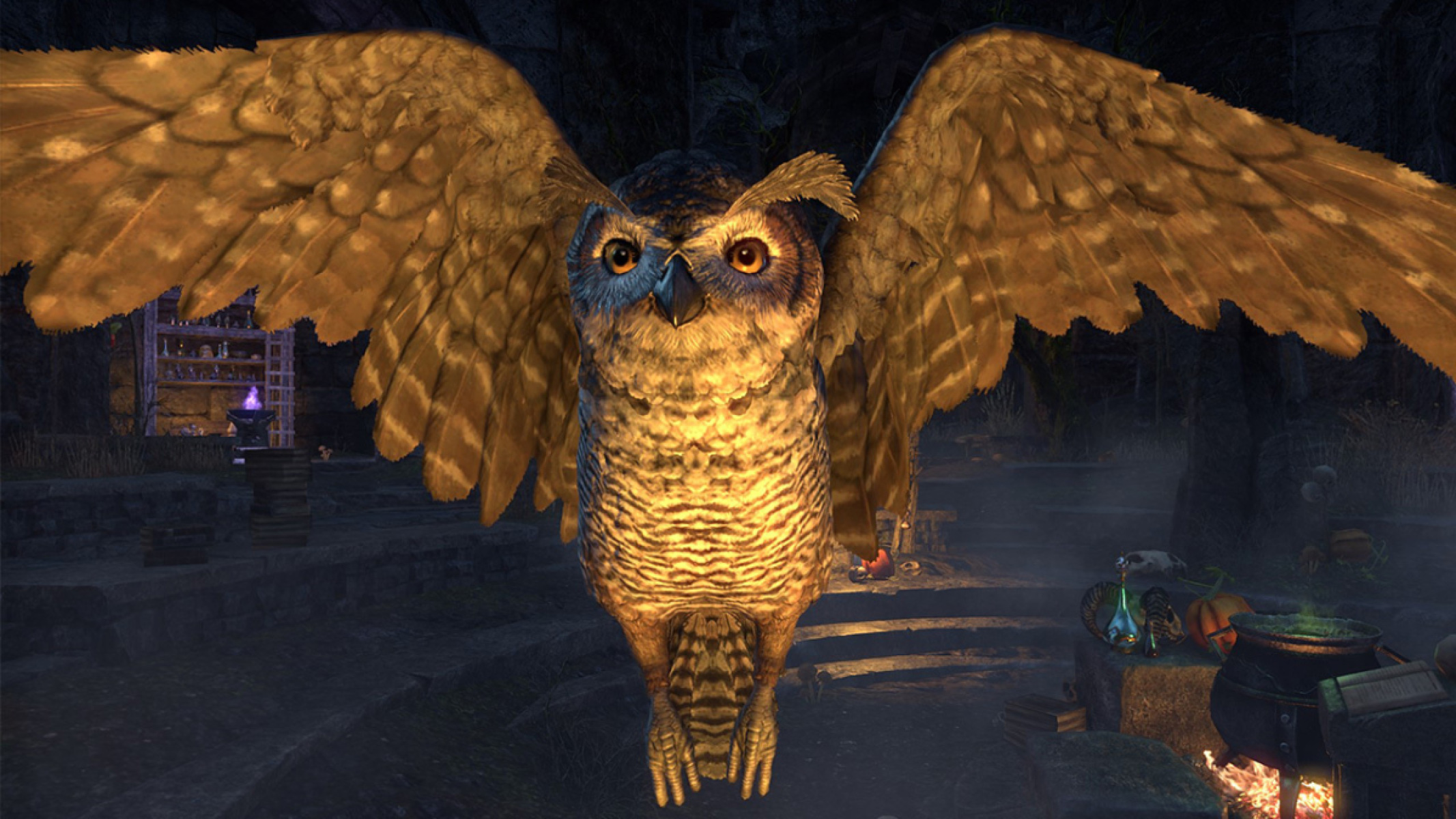 Senchal Horned Owl pet in ESO