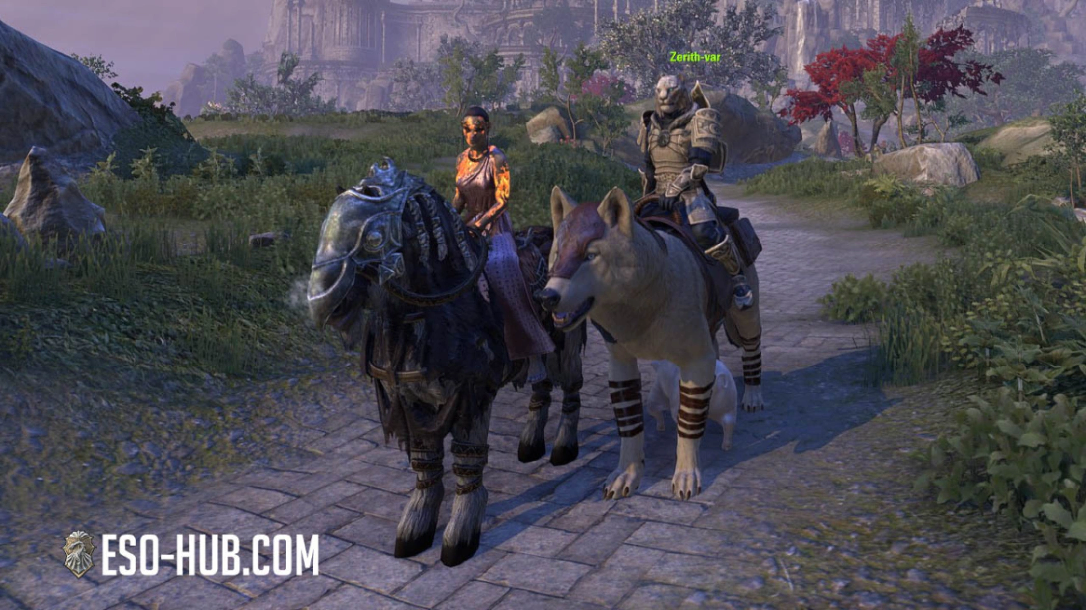 Zerith-Var Companion with an Ice Wolf mount in ESO