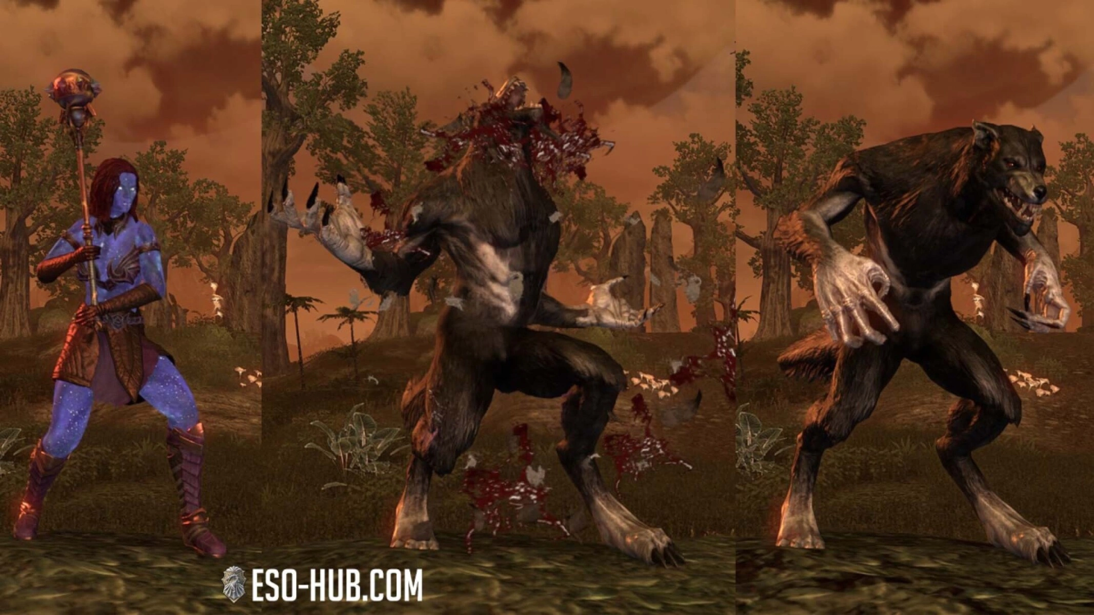 ESO Werewolf transformatio showing the beast form model