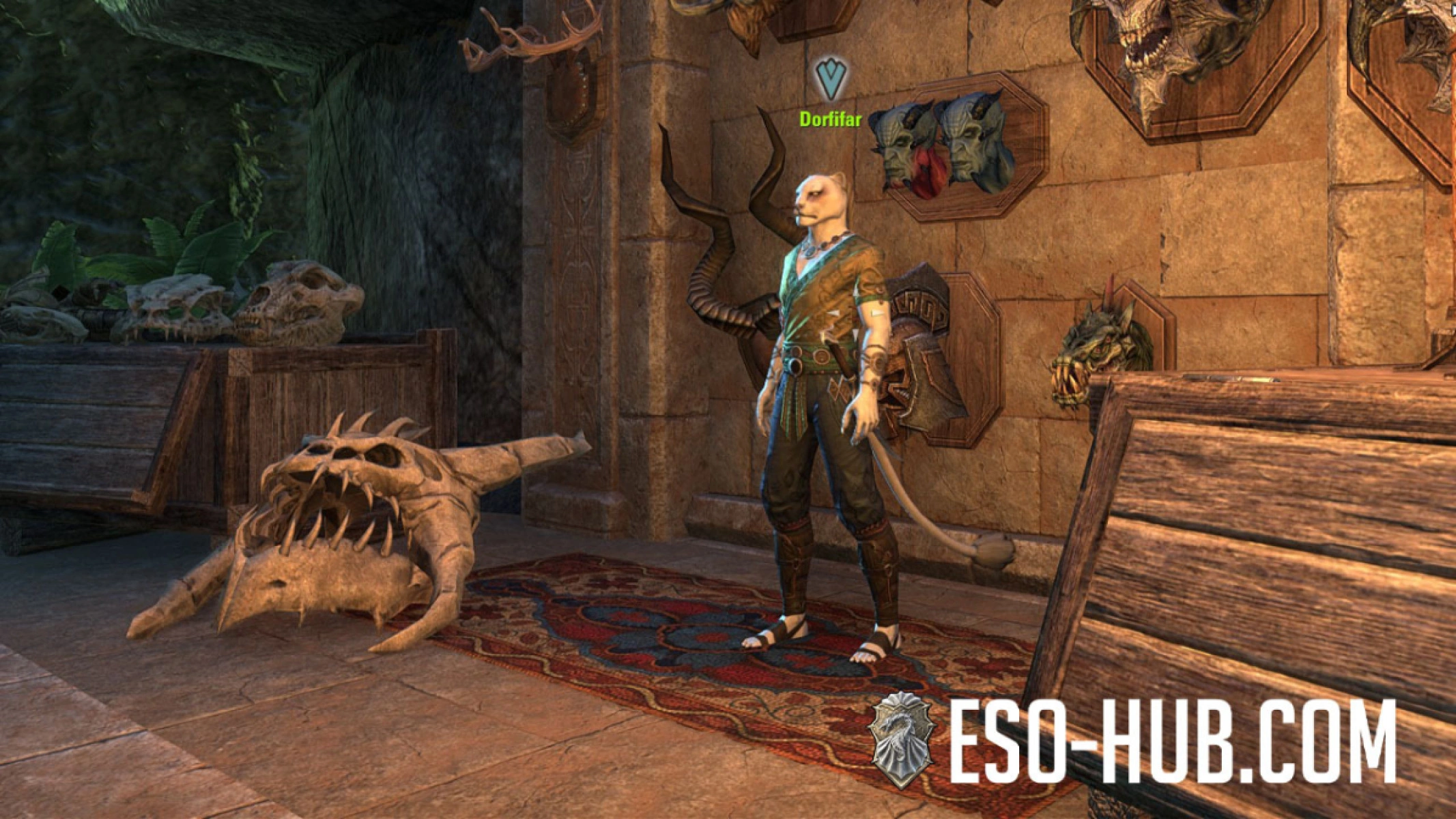 Dorfifar, a khajiit a daily quest giver found in the Night Market Starlit Plaza.