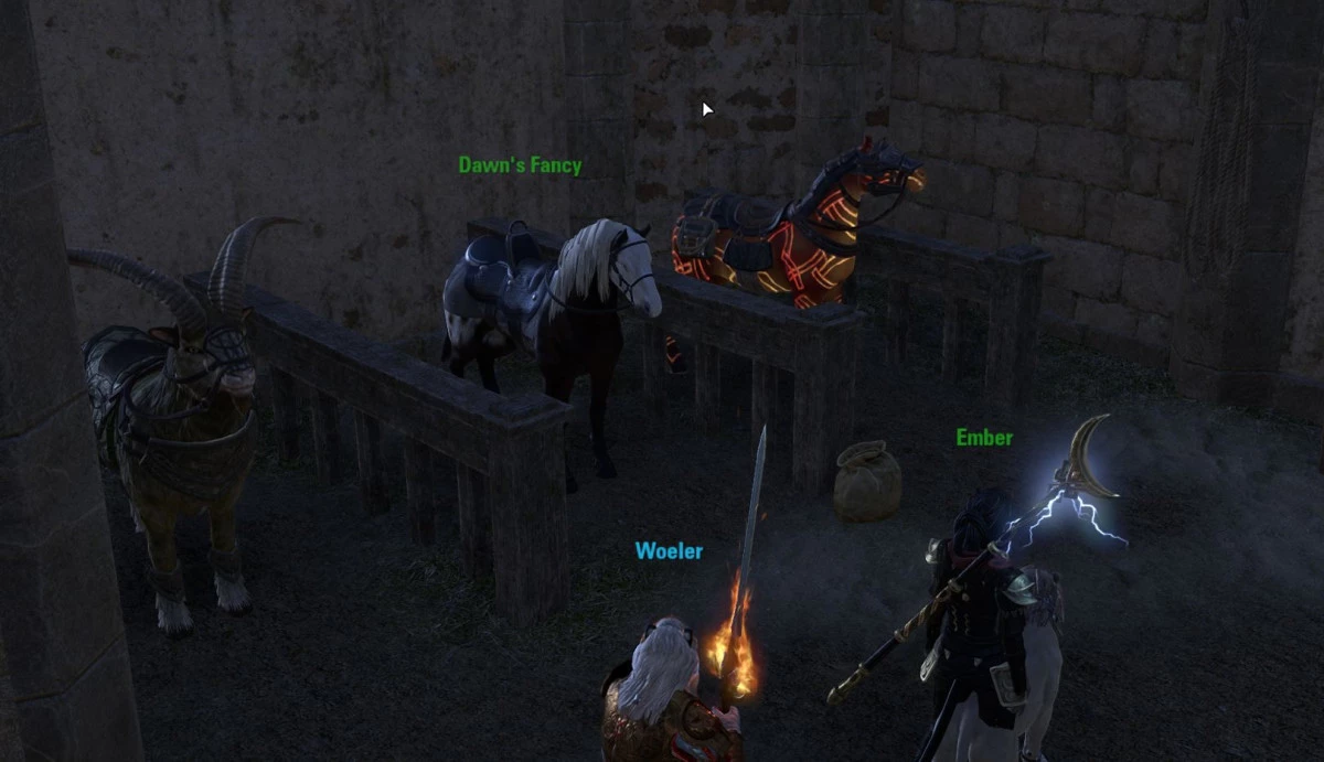 The horse Dawn's Fancy in the Vastyr stables
