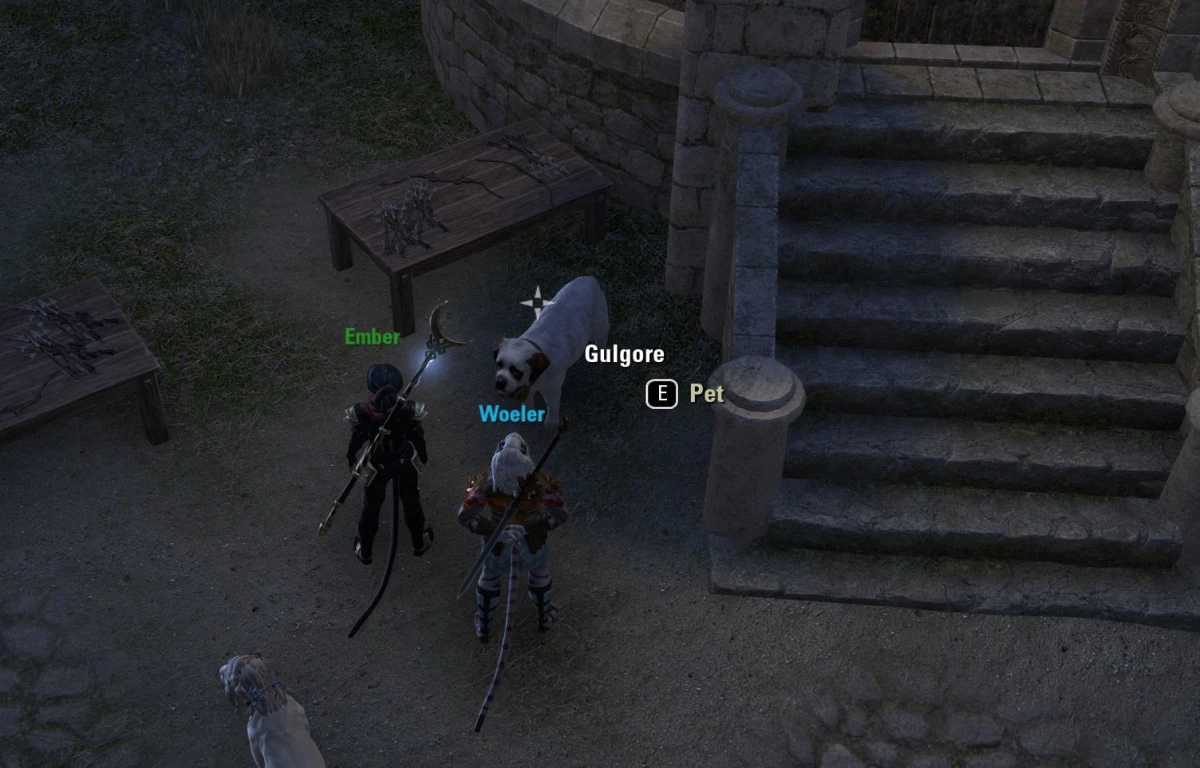 The dog Gulgore outside of the Fighters Guild in Vastyr