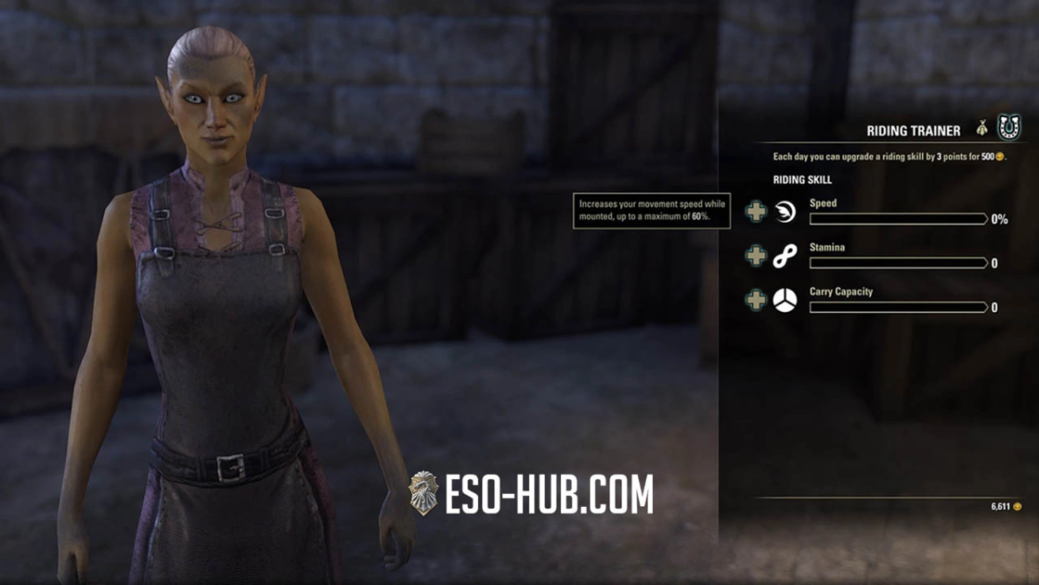 Auridon Stablemaster in Vulkhel Guard.