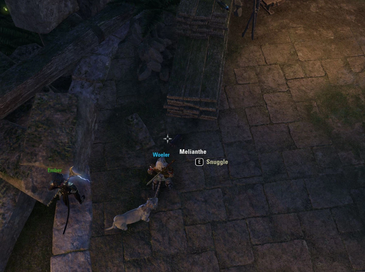 The cat Melianthe near the Oaken Forge