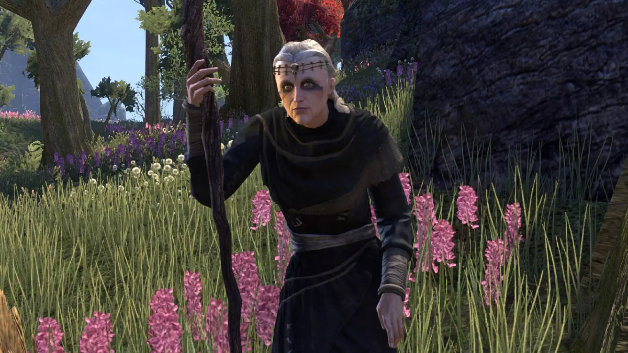 Witchmother Taerma