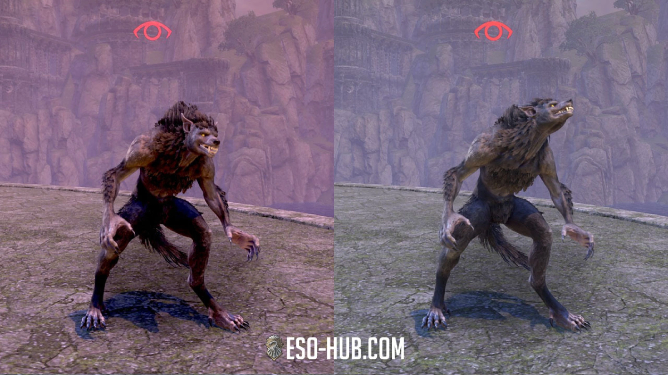 Activating Prowl and Sniffing the air.