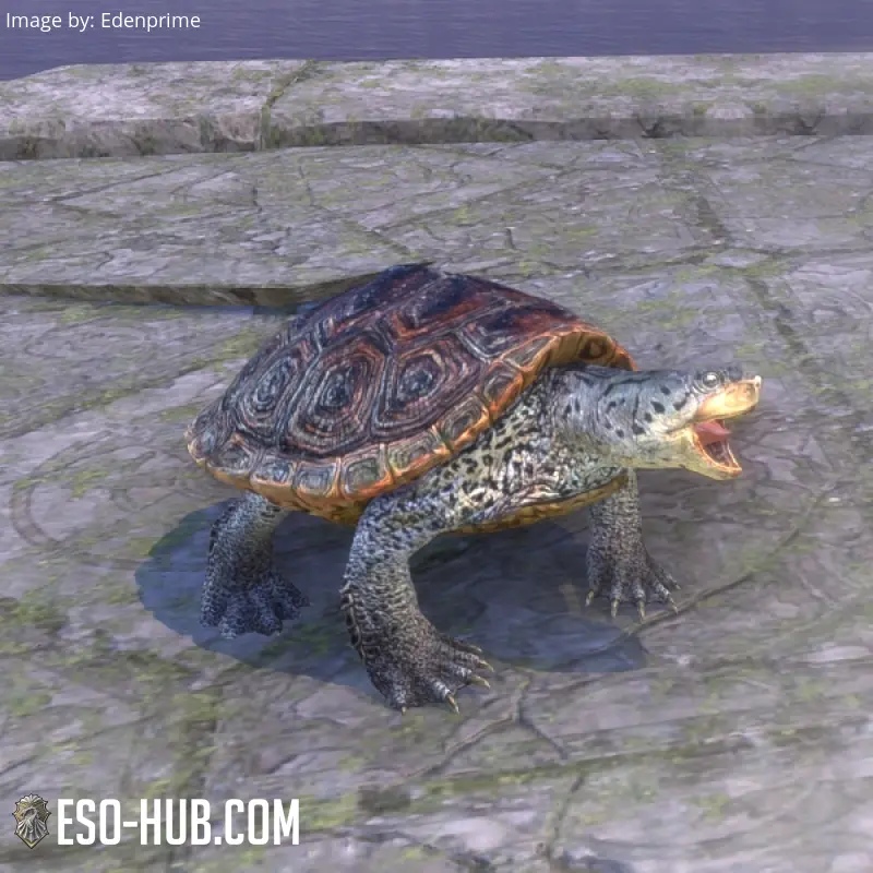 Image 1 of Лилмотская черепаха ESO