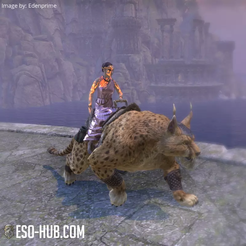 Image 5 of gefleckter Dünenläufer-Senche-raht ESO