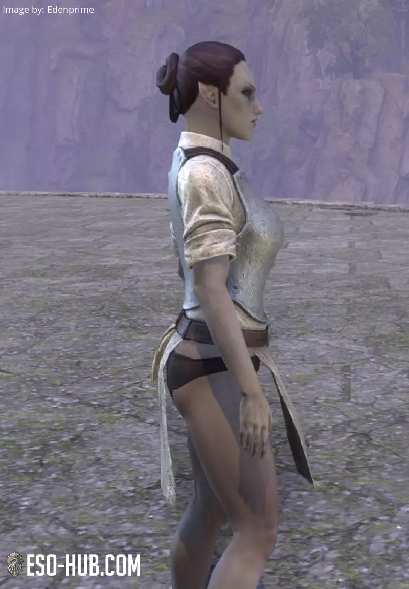 Image 4 of Battlefield Provisioner Apron ESO