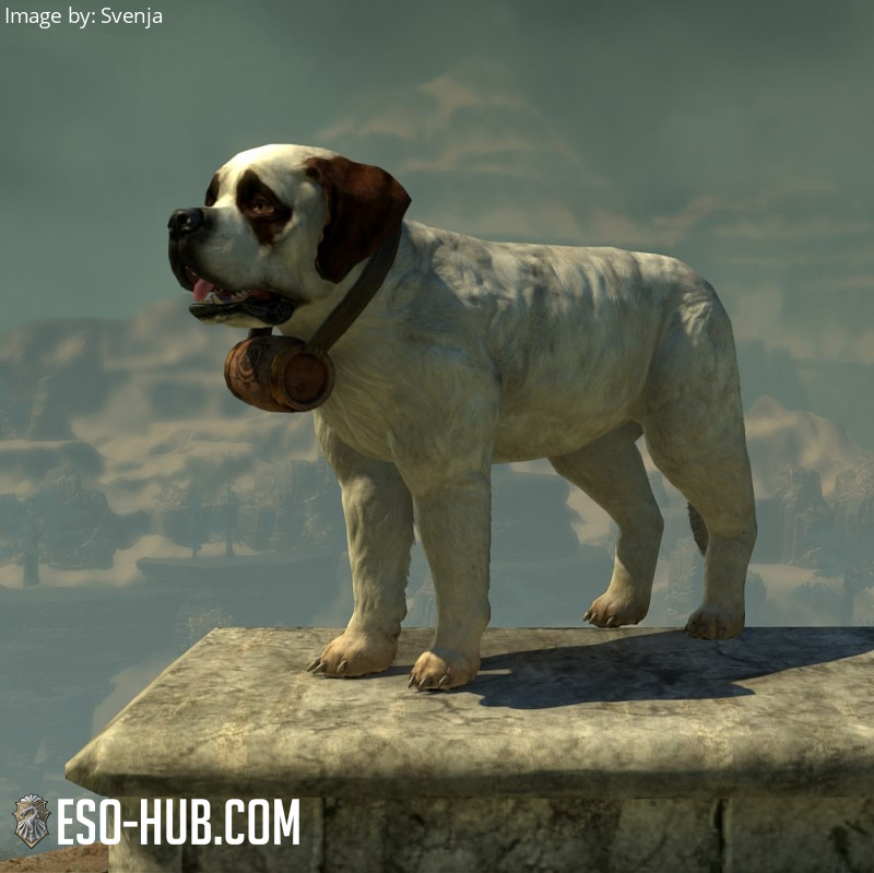 Jerall Rescue Dog - ESO Hub - Elder Scrolls Online