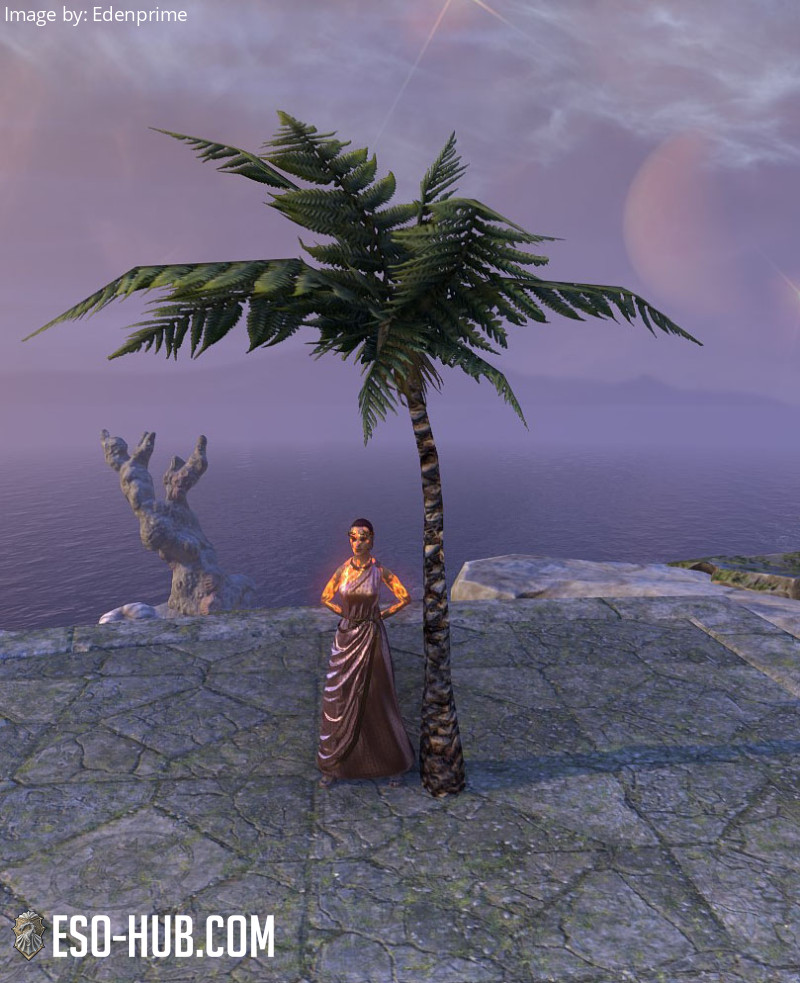 Tree, Small Palm