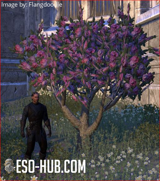 Bush, Rhododendron