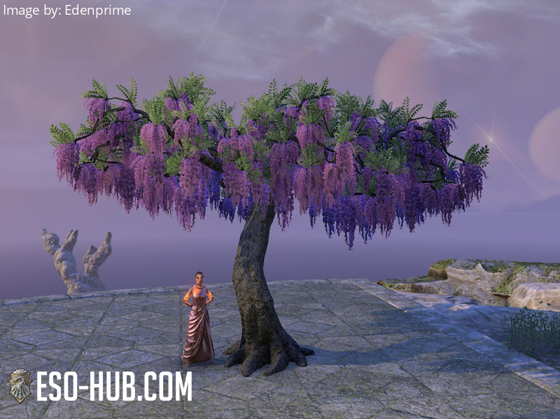Tree, Purple Wisteria
