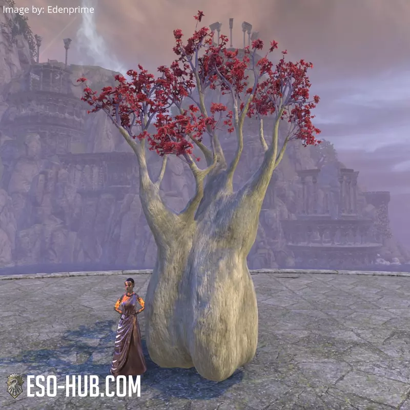 Image 1 of Árbol, sangre de dragón ESO