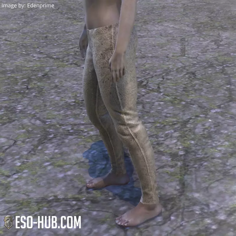Image 2 of Battlefield Provisioner Breeches ESO