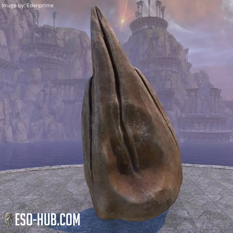 Image 3 of Череп (китовый) ESO