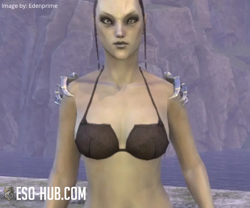 Image 1 of Zhekleg Pauldrons ESO
