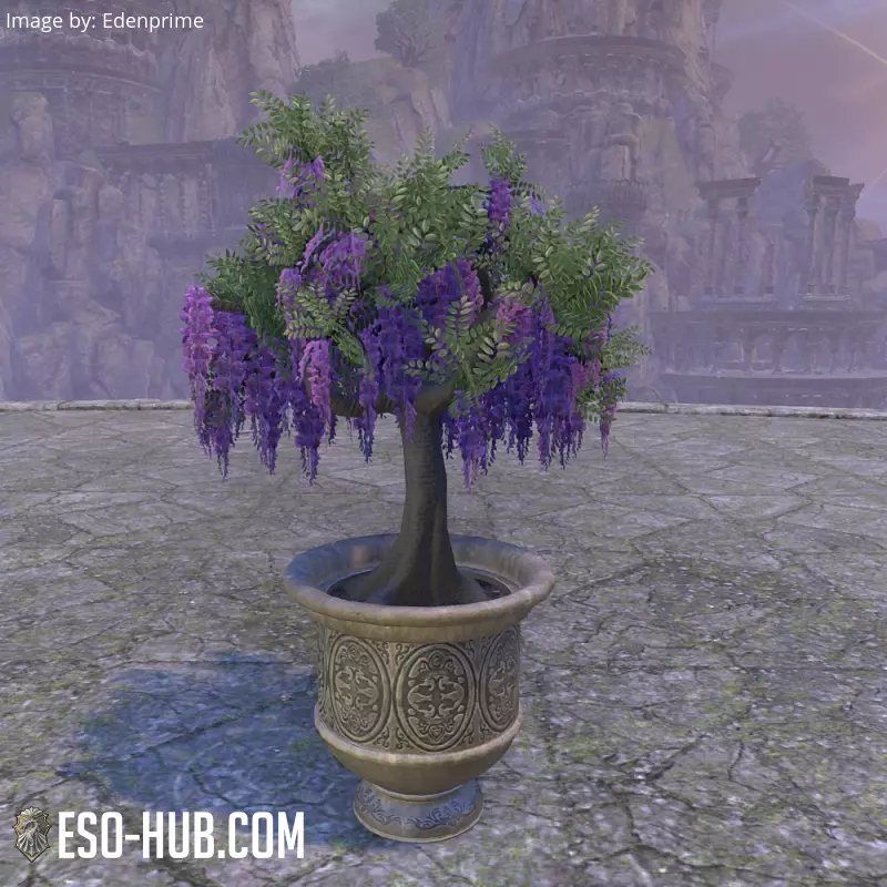 Image 2 of Maceta de Alinor, glicinia rosa ESO