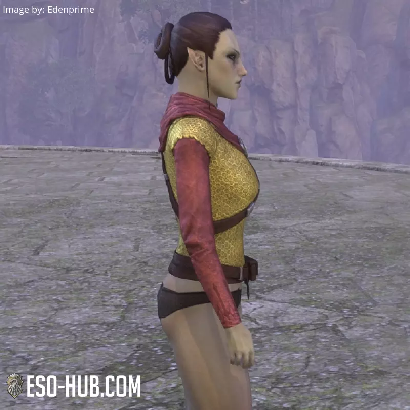 Image 4 of gilet de rebelle alessien ESO