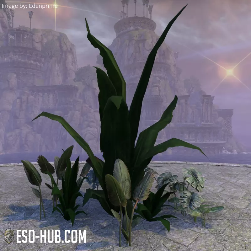 Image 3 of Plant Cluster, Jungle Assortment ESO