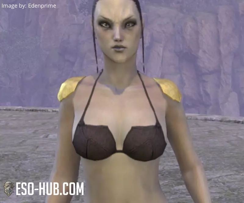 Image 1 of coques d'épaule de rebelle alessien ESO