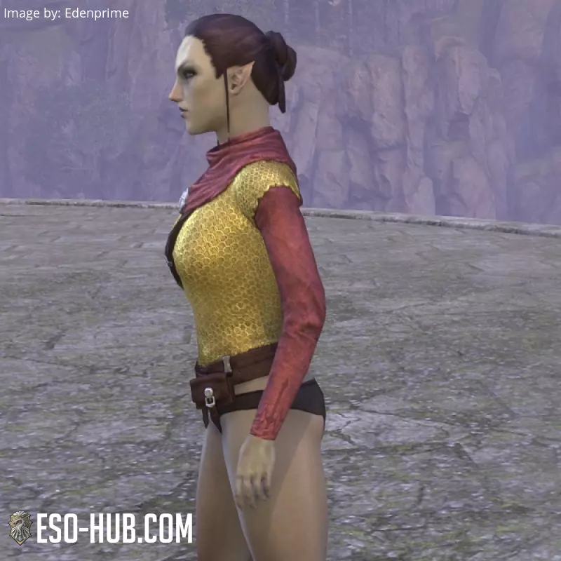 Image 2 of gilet de rebelle alessien ESO