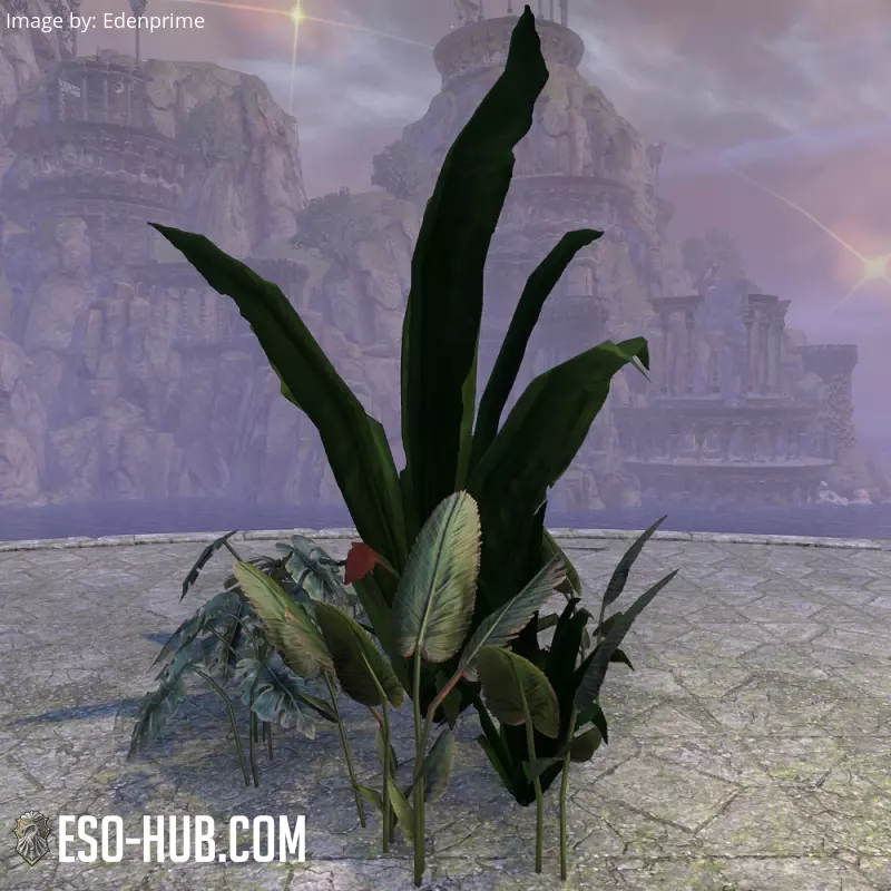 Image 2 of Plant Cluster, Jungle Assortment ESO