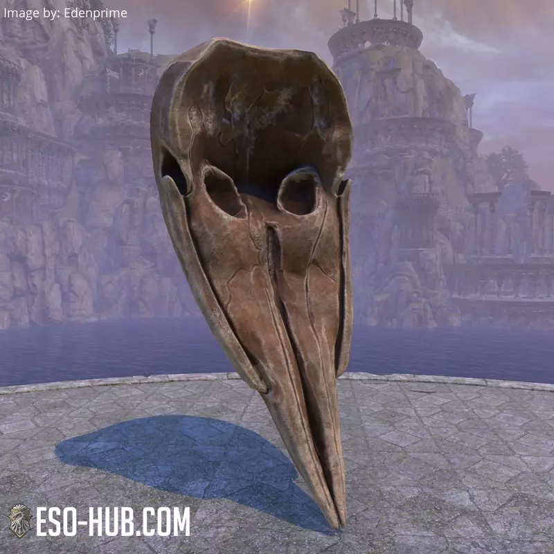 Image 4 of Череп (китовый) ESO