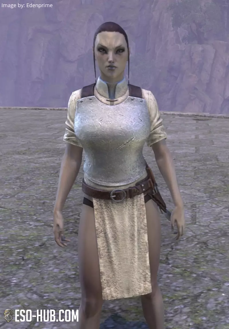 Image 1 of Battlefield Provisioner Apron ESO