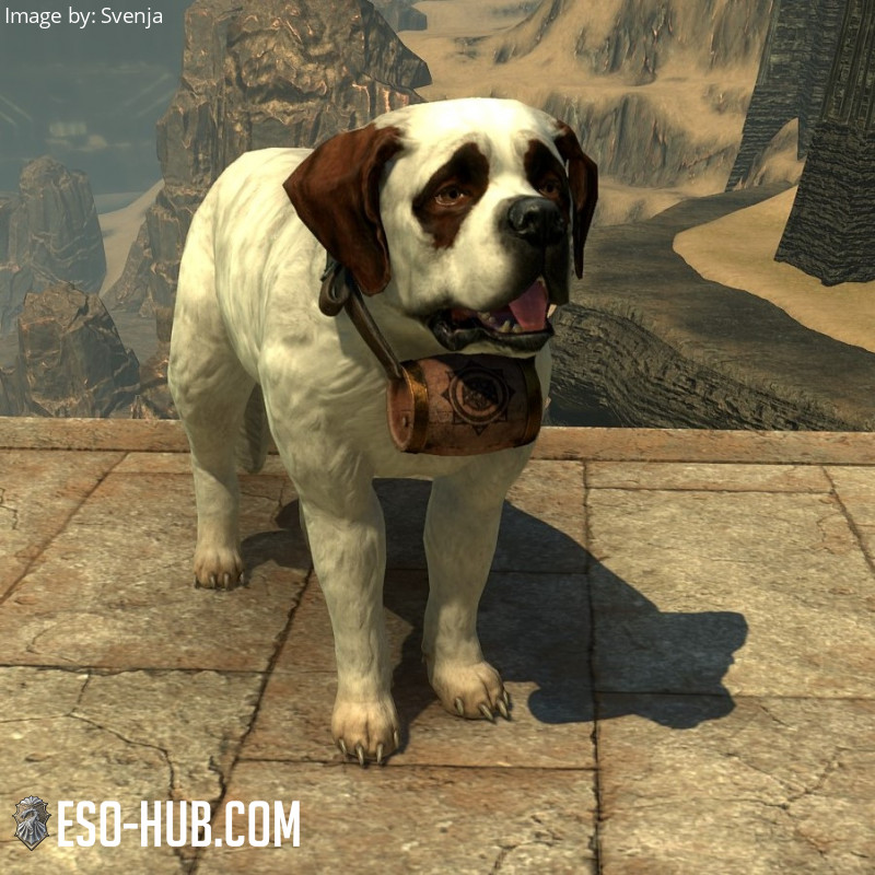 Jerall Rescue Dog - ESO Hub - Elder Scrolls Online