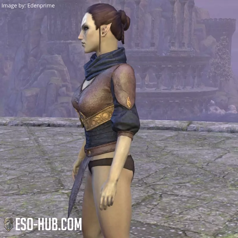 Image 5 of Jacke aus Kireths Ausrüstung ESO