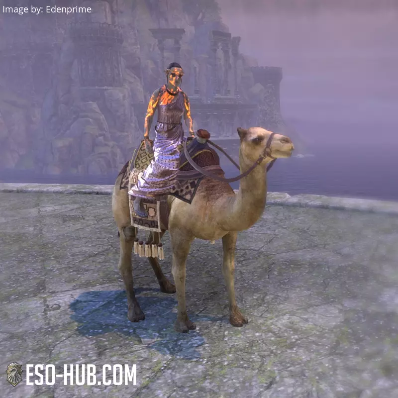 Image 1 of Hammerfall-Kamel ESO