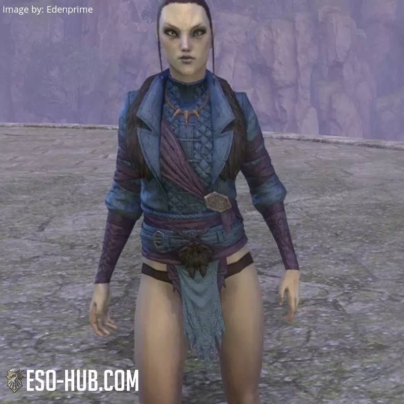 Image 1 of Pechera "del Cártel Lupino" ESO