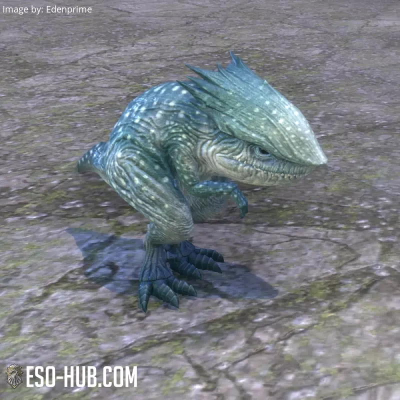 Image 1 of nymphette pangrit requin baleine ESO