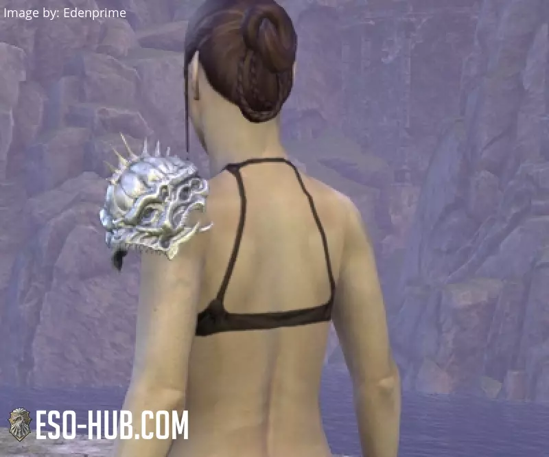 Image 3 of Mesa Stalker Epaulets ESO