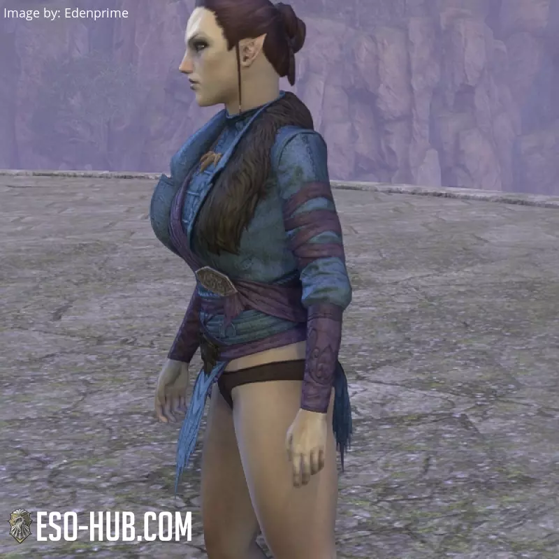 Image 2 of Pechera "del Cártel Lupino" ESO