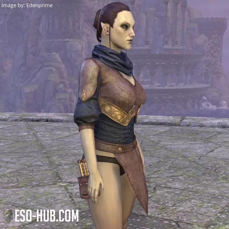 Image 2 of Jacke aus Kireths Ausrüstung ESO