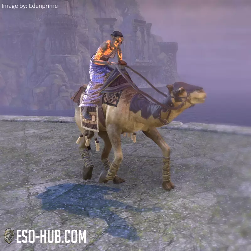 Image 7 of Hammerfall-Kamel ESO