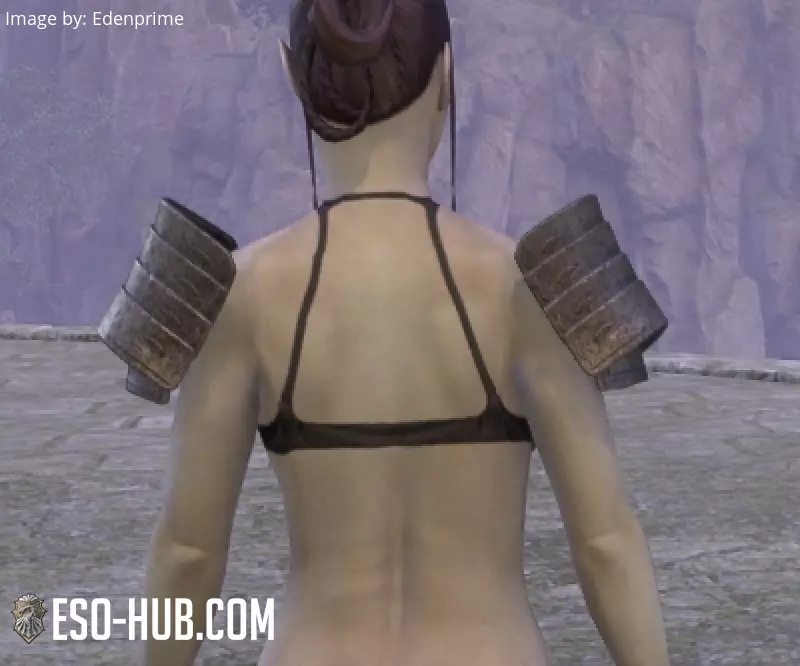 Image 3 of Espaldarones de mercenario pendenciero ESO