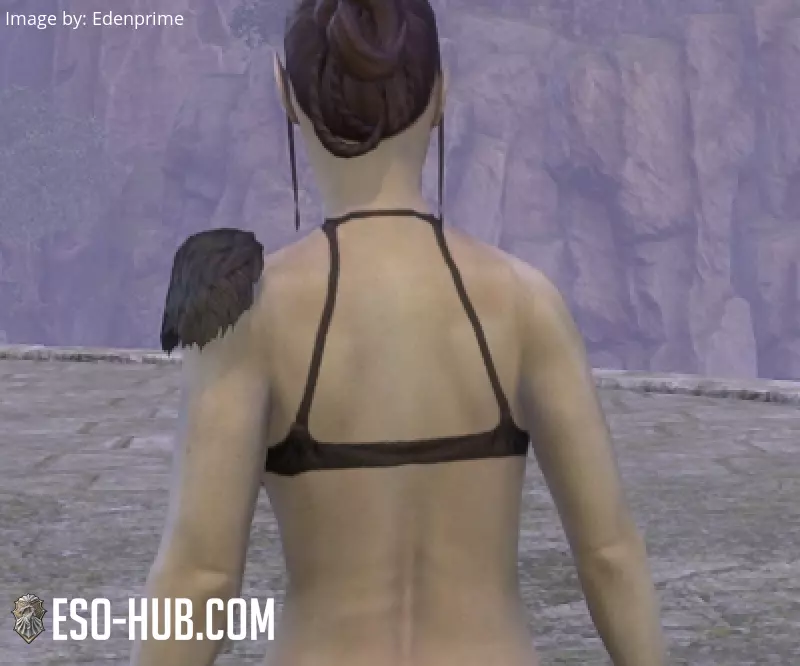 Image 3 of Charreteras "del Cártel Lupino" ESO