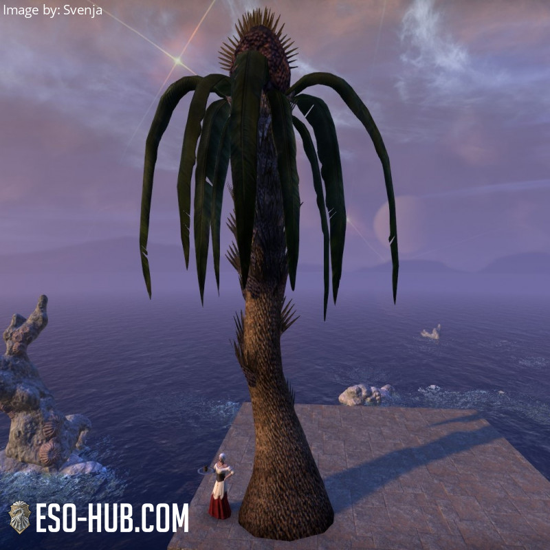 Tree, Towering Swamp Palm - ESO Hub - Elder Scrolls Online